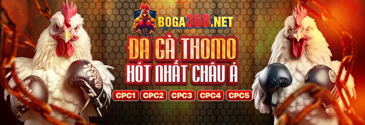 Hình ảnh chính các chương trình khuyến mãi bc88bet